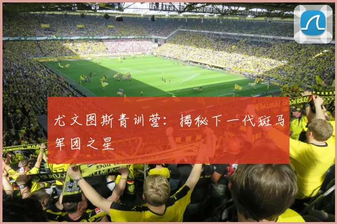 尤文图斯青训营：揭秘下一代斑马军团之星